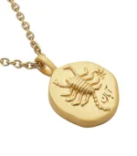Zodiac Sign Necklace Scorpio (Copy) - Image 2