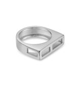 Luna Flat Ring Steel - Image 2
